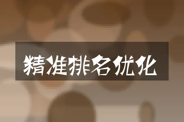 精准排名优化